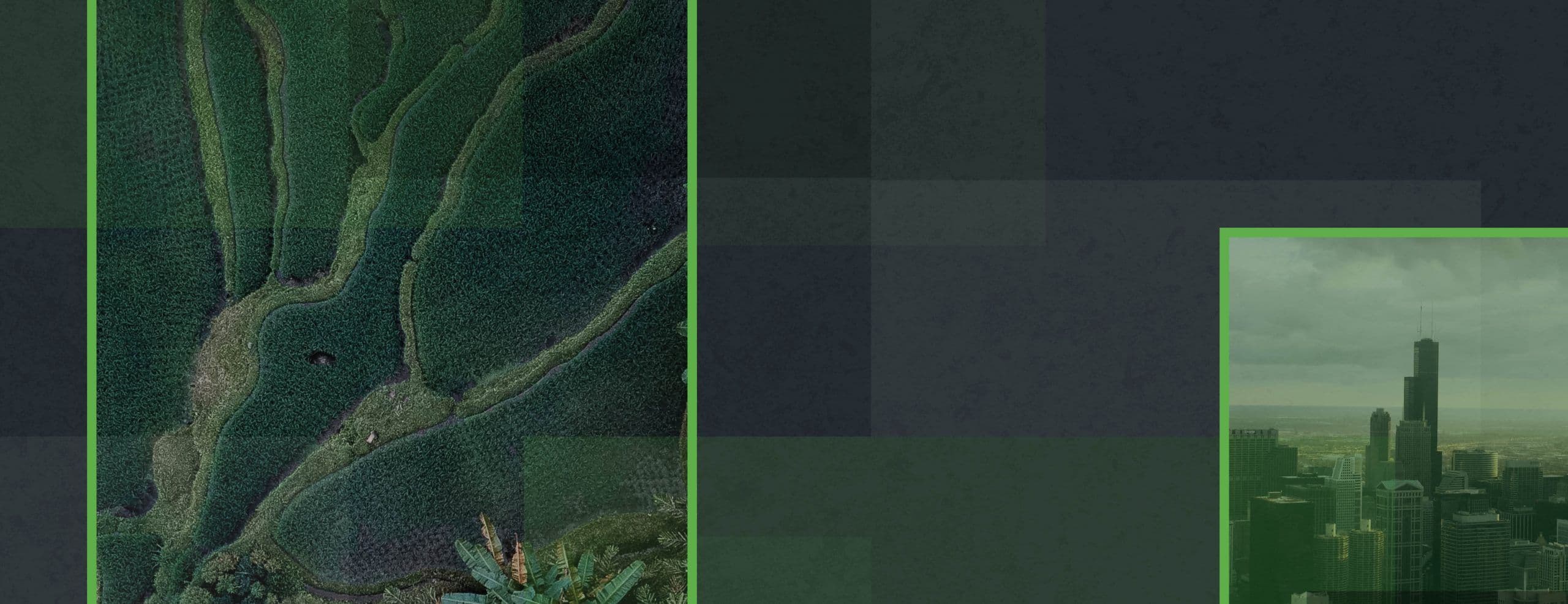 REVIVE • Reactivación sustentable. La economía de la biodiversidad