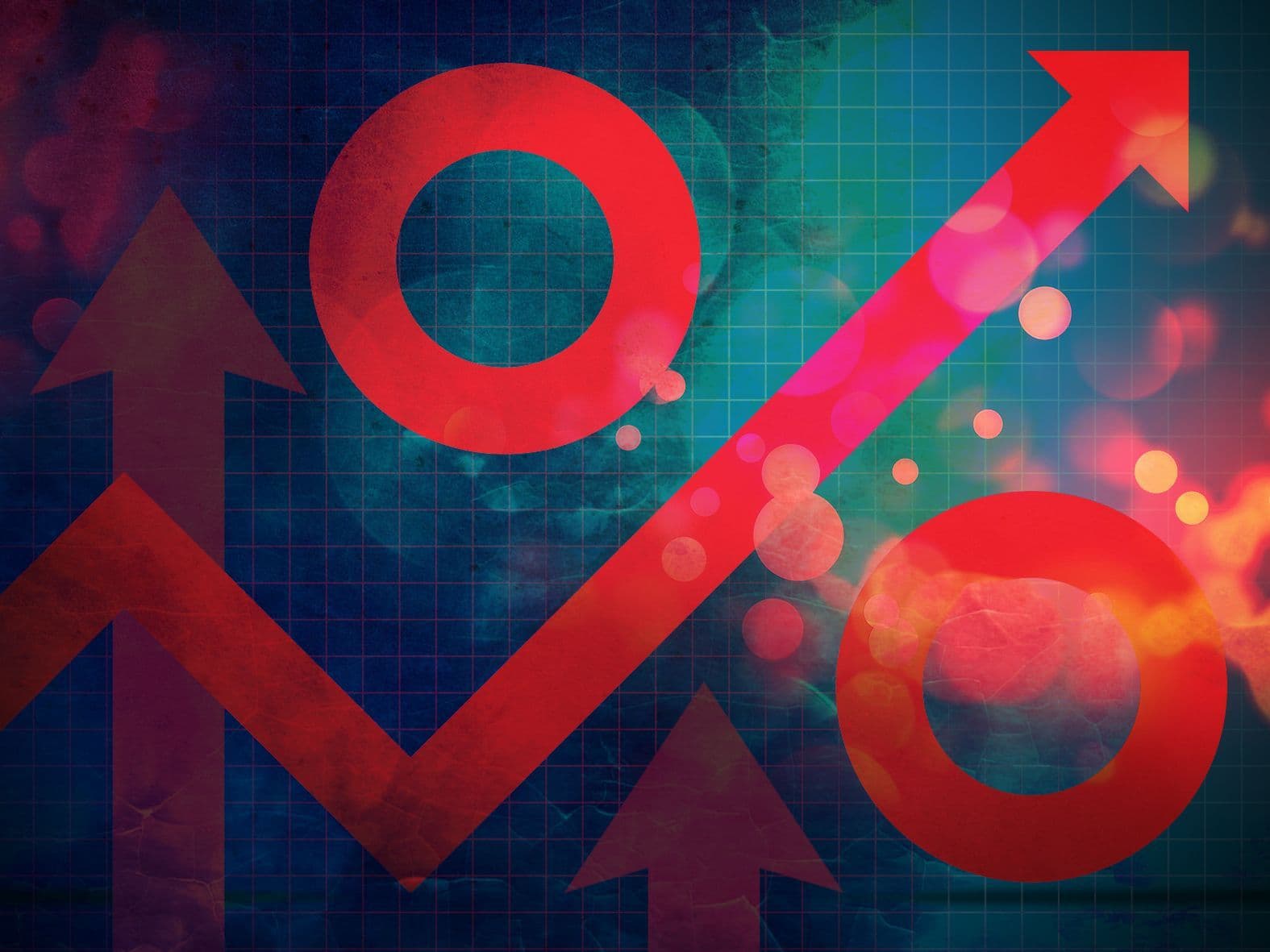 IMCE – Informe noviembre 2005