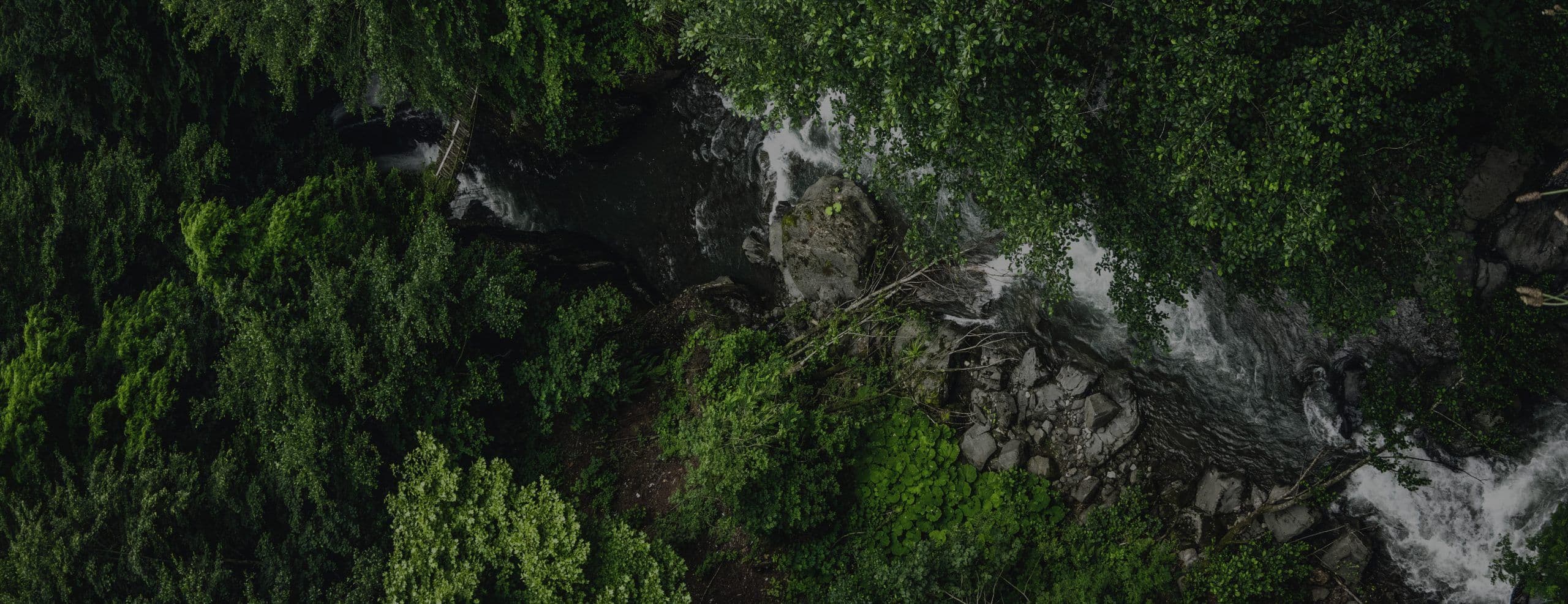 ¿Cómo afecta la biodiversidad nuestra economía? Conversamos sobre los efectos del cambio climático y la pérdida de biodiversidad en nuestra calidad de vida