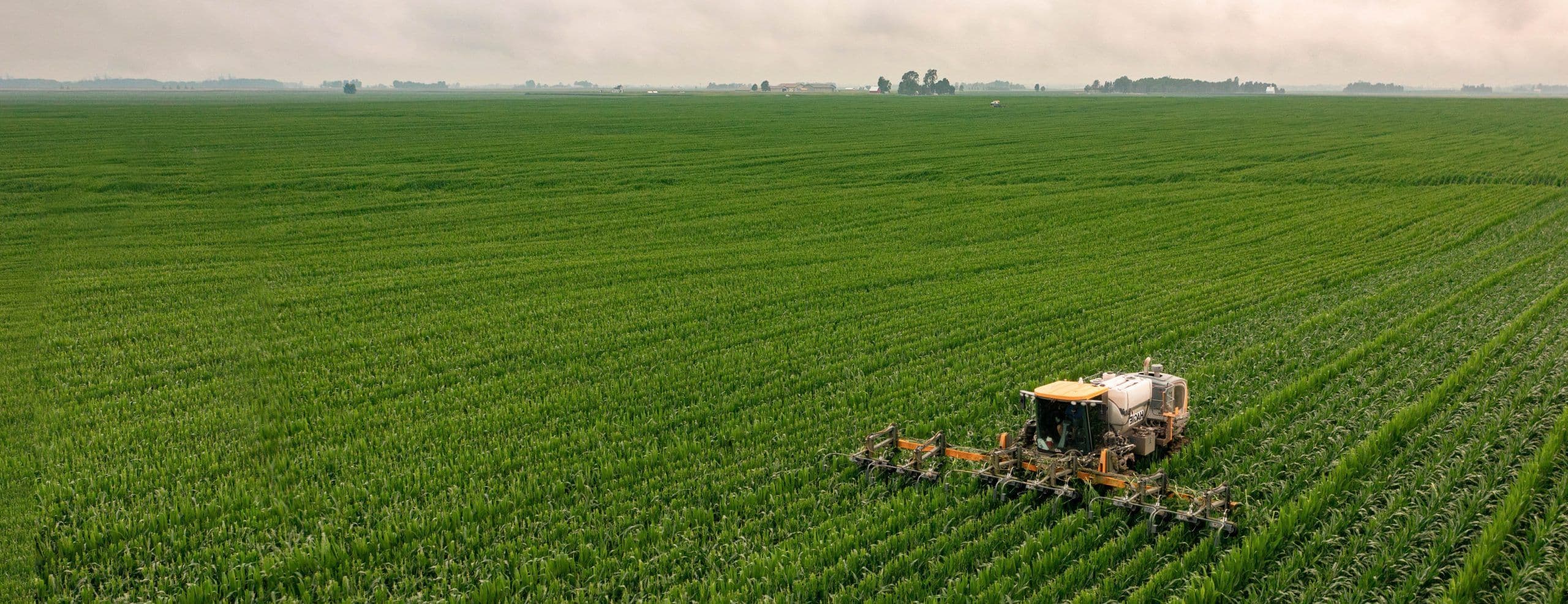 REVIVE • Innovaciones “MADE EN CHILE” para el mundo de alimentos