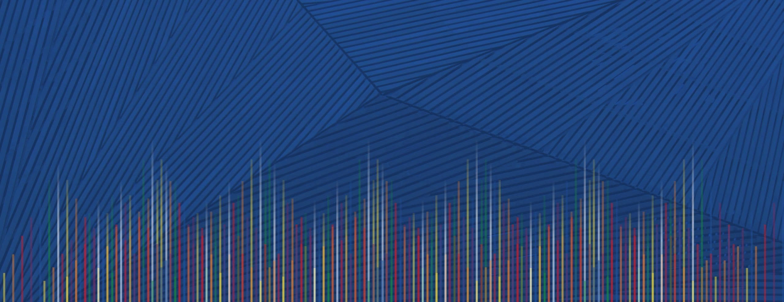 REVIVE • Plurinacionalidad y Constitución