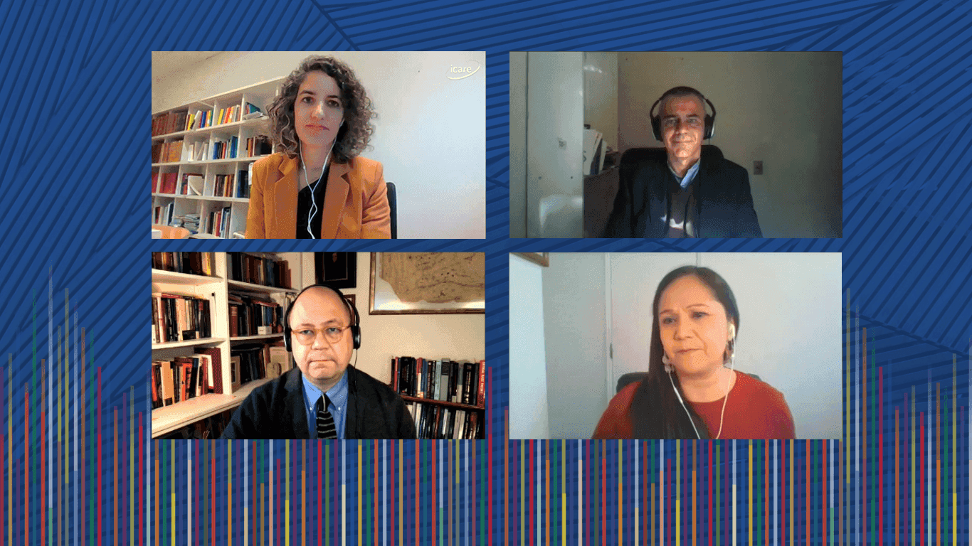 Plurinacionalidad y Constitución: ¿Qué expectativas pueden generarse a partir de un Estado definido como plurinacional?
