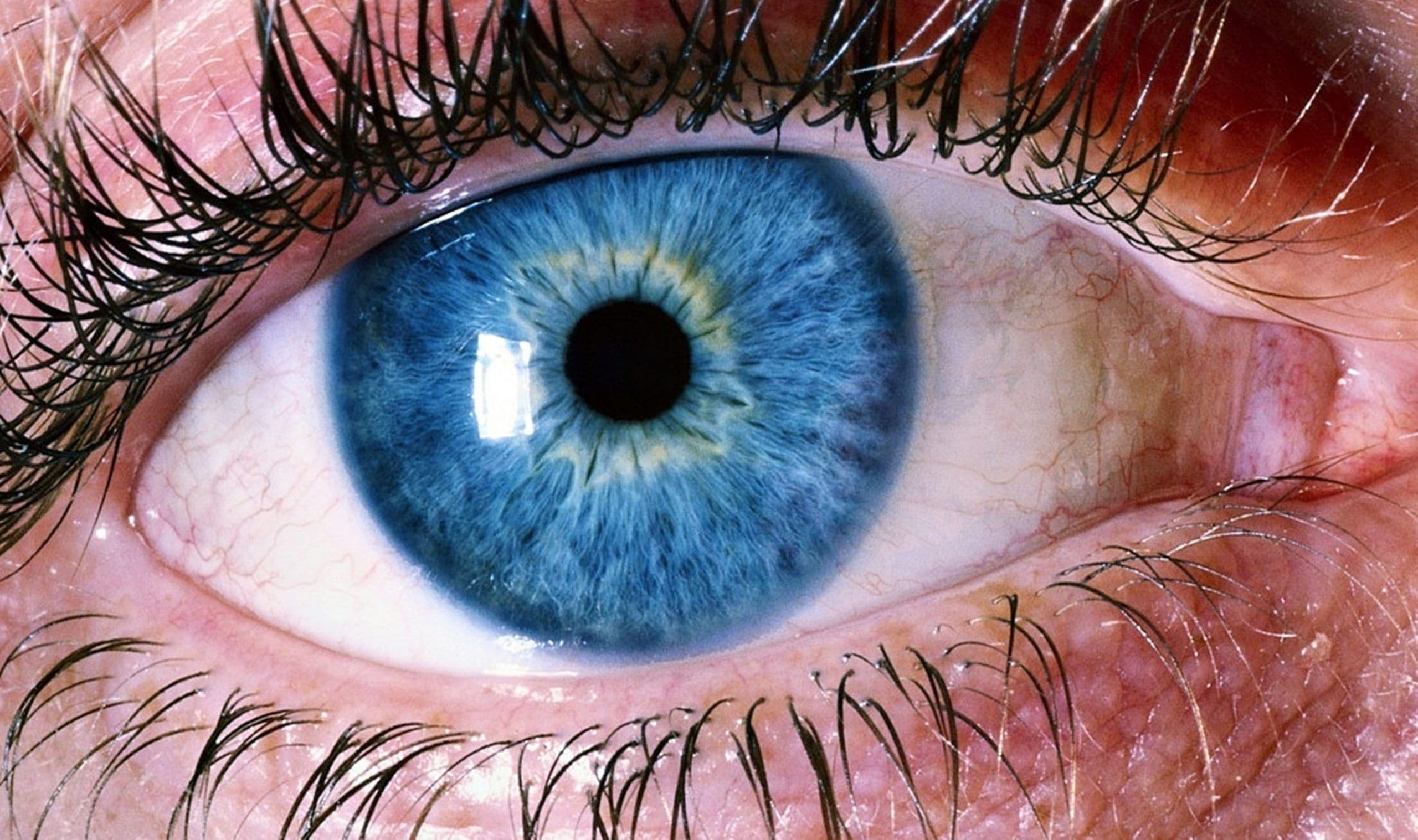 Google puede predecir problemas al corazón escaneando tu retina