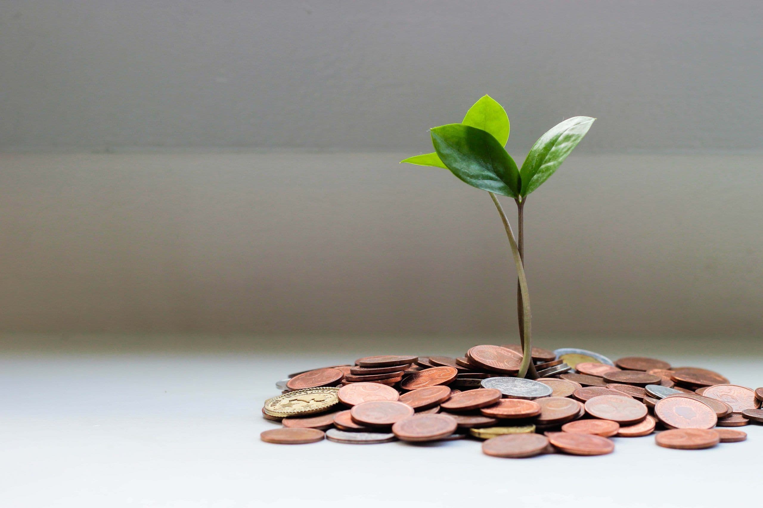 Ahorro: Un tema clave para nuestro futuro económico