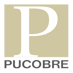 Sociedad Punta del Cobre S.A.