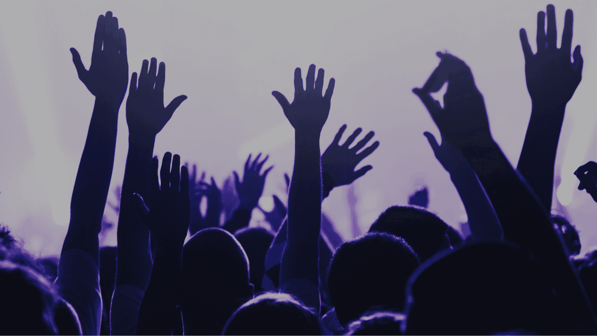 Many silhouetted hands raised by a crowd at a concert under purple lights.